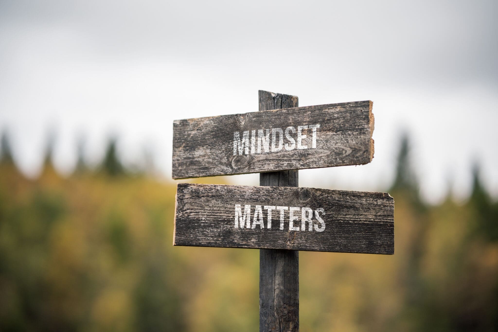 Catalyst-Fitness-vintage and rustic wooden signpost with the weathered text quote mindset matters, outdoors in nature. blurred out forest fall colors in the background.